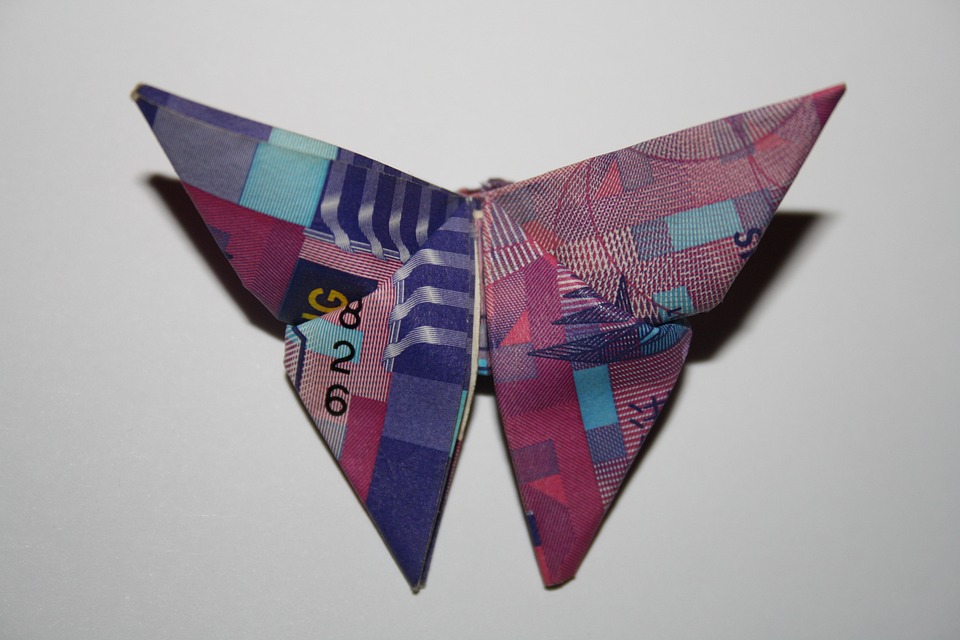 motýl z bankovky
